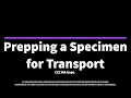 Preparing a Specimen for Transport