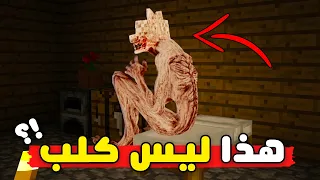                                                                                      دندنها