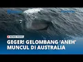 Lagu Fenomena Aneh! Gelombang 'Tak Biasa' Muncul di Tengah Laut Australia