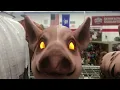 Tractor Supply Pig Halloween 2026