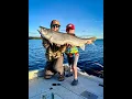 6-year-old Catches Biggest Lake Trout of the Season All by himself