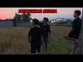 Download Lagu CHASING THE SUNSHINE