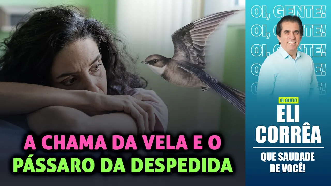 A chama da vela e o pássaro da despedida | Eli Corrêa Oficial |