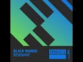 Revenant (Extended Mix)