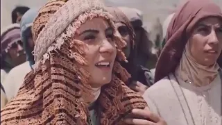 የነብዩላህ የሱፍ ታርክ ክፍል 1 