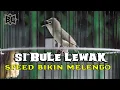 Download Lagu BULE SPEED ASIK MILIK M VITO - KUTARAJA||VLOG KECIAL KUNING JUARA 2022||BROTHER'S CIAK