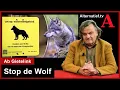 Download Lagu 429 Stop de Wolf ! Opinie: Ab Gietelink