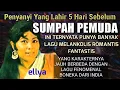 Deretan Lagu Dangdut Melankolis ELLYA KHADAM