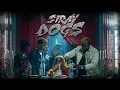 STRAY DOGS ( official music video) | AEYON  x  SANJO