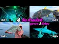 Download Lagu วิถีชาวประมง l ตอน 4 วันทำอะไรดี