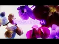 Igual Que Un Ángel (Lyric Video) - Kali Uchis, Peso Pluma