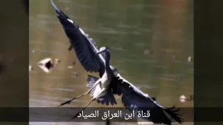 خلط صوت زركي ورخيوي لصيادين 2019 