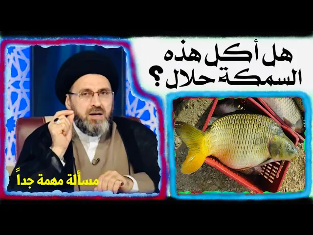 ⁣متصل: سمكة ماتت خارج الحوض دون ان يخرجها أحد، هل يجوز أكلها ؟ | السيد رشيد الحسيني