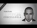 Cosculluela - Plaka Plaka (Visualizer) (feat. Wisin & Yandel) - Cosculluela