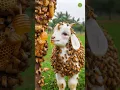 Download Lagu bees attack on a baby goat saved by brave farmer #humanity #goat #animals #pets $#cartoon #kidsvideo