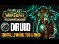 Druid Leveling Guide 1-90 Mists of Pandaria Classic