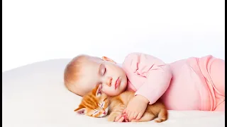 Download 【Baby Sleep Music】Baby songs sleep, 9 Minute Baby And Cat Sleep Song: Piano Lullaby For Sweet Dreams MP3