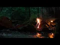Real Campfire by the Night River — Hidden between Ancient Forest Rocks | Soothing Nature (4K)