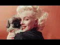 16 Sexy Photos of Marilyn Monroe