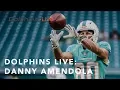 Danny Amendola is doing everything in his power to succeed Miami Dolphins