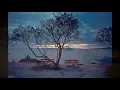 Anouar Brahem - The Astounding Eyes Of Rita