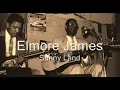 Elmore James-SunnyLand