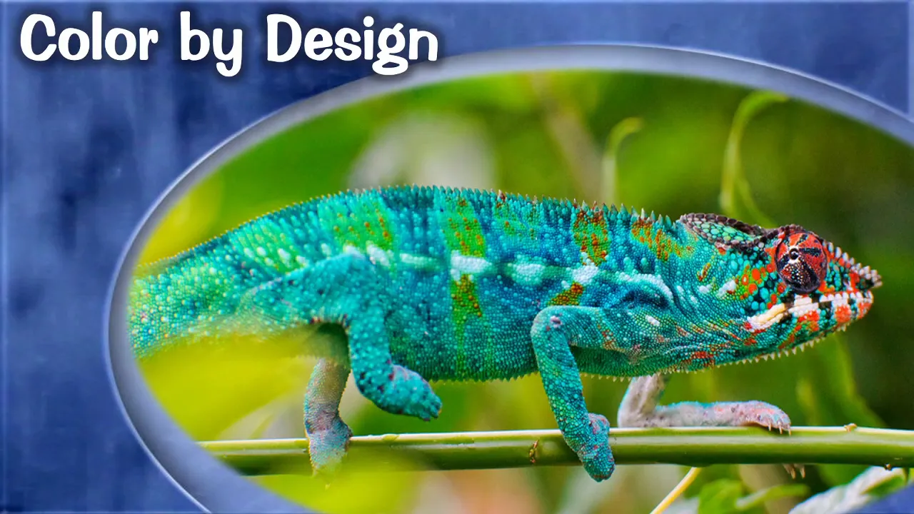 Biomimicry - The Wonders of Animals Reveal God's Glory
