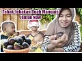 Download Lagu Tebak-Tebak Buah Manggis Jaman Now