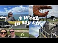 Weekly Vlog OUR FIRST ROAD TRIP Byron Bay Big Prawn Big Banana Trial Bay Gaol