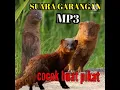 Download Lagu SUARA GARANGAN MP3
