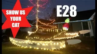 Show us your cat! Epsiode 28 South Africa, Canada, Brazil and USA