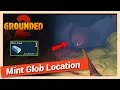 How to Get Mint Glob in Grounded 2 Quick Location Guide