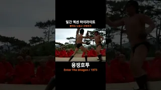 Daily Action Highlights 11 