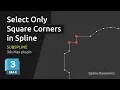 Automatically Select All Square Corners in a Spline with SubSpline 3ds Max Plugin