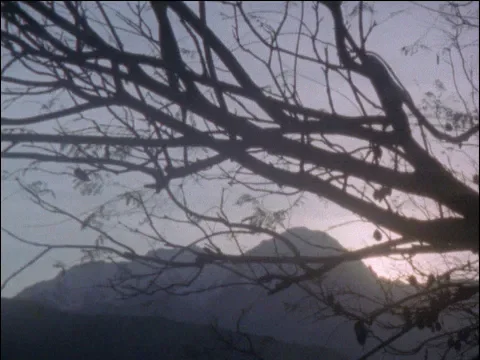 Sol Piedra Agua - Trailer