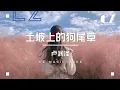 土坡上的狗尾草 - 盧潤澤『tu po shang de gou wei cao - lu run ze 』