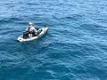 SailFish Madness 360VR