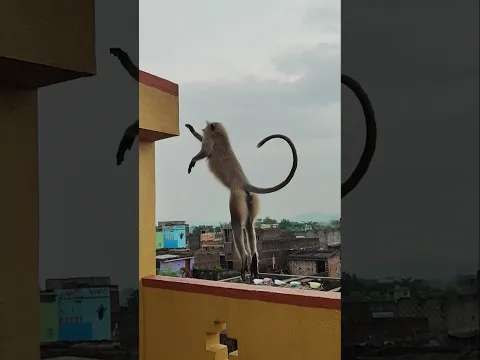 Bajrang 🎈🎈