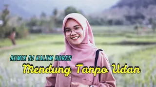 Download DJ MENDUNG TANPO UDAN - NDARBOY GENK REMIX SLOW BASS MP3