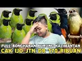 Download Lagu FULL BONGKARAN !! CAK IJO PH DR 150 RIBU JANTAN DARI 450 RIBU DI PASAR BURUNG PRAMUKA