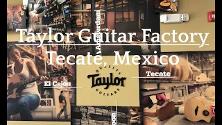 Taylor Guitar Factory Tecaté, Mexico: Guitar Production