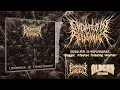 Download Lagu ENGULFED IN REPUGNANCE - CONSUMMATION OF CHTHONIC REMNANTS [OFFICIAL ALBUM STREAM] (2021) SW EXCL