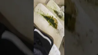 I Bought A Very Cheap Boat