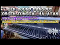Download Lagu CEK SOUND DANGDUT ORGAN TUNGGAL HAJATAN FULL HD AUDIO BASS HOREG [ INSTRUMEN TAMU MALAM MINGGU