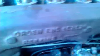               دندنها