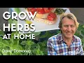 How to Grow a Window Box Full of Herbs