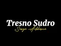 Download Lagu Tresno Sudro - Sasya Arkhisna (Overlay Lyrics) wong bagus wong bagus tak enteni