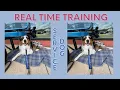 Download Lagu Realistic Service Dog Training: Tire Center ~ Down Stays \u0026 Anxiety Alerts! | AstroFromTheBlue