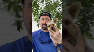 I thought Rex‘s life was as good as it gets. But we just unlocked a new level #captainmatt4hire