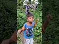 Download Lagu 🔴 AIR SUNGAI NAIK !!! ANAK-ANAK BERANI MANDI DISUNGAI YANG DERAS